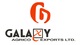 Galaxy Agrico Exports Ltd Q2FY25 PAT at Rs. 9.47 lakhs